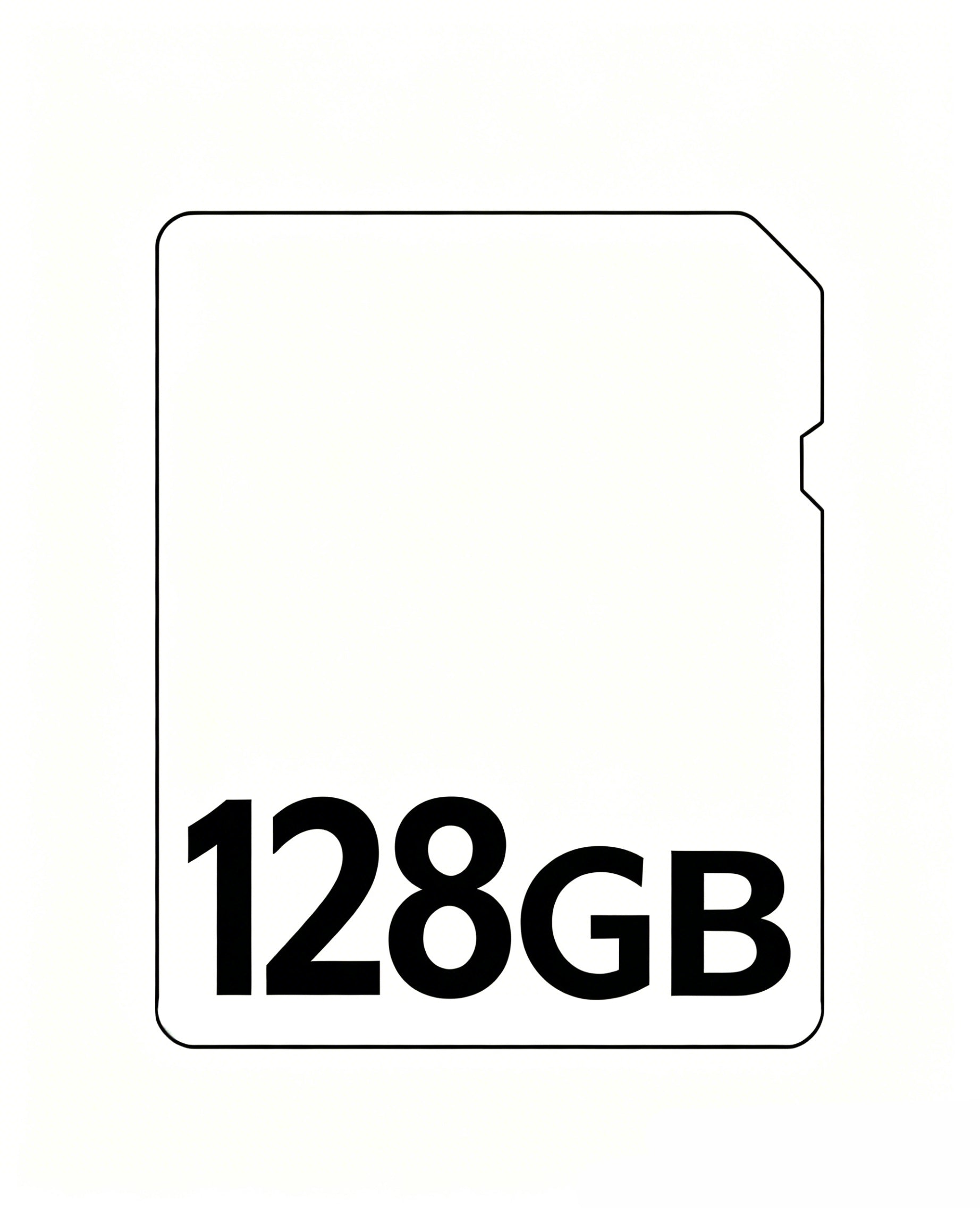 Xega 64G/128G Micro SD-Karte für Überwachungskameras