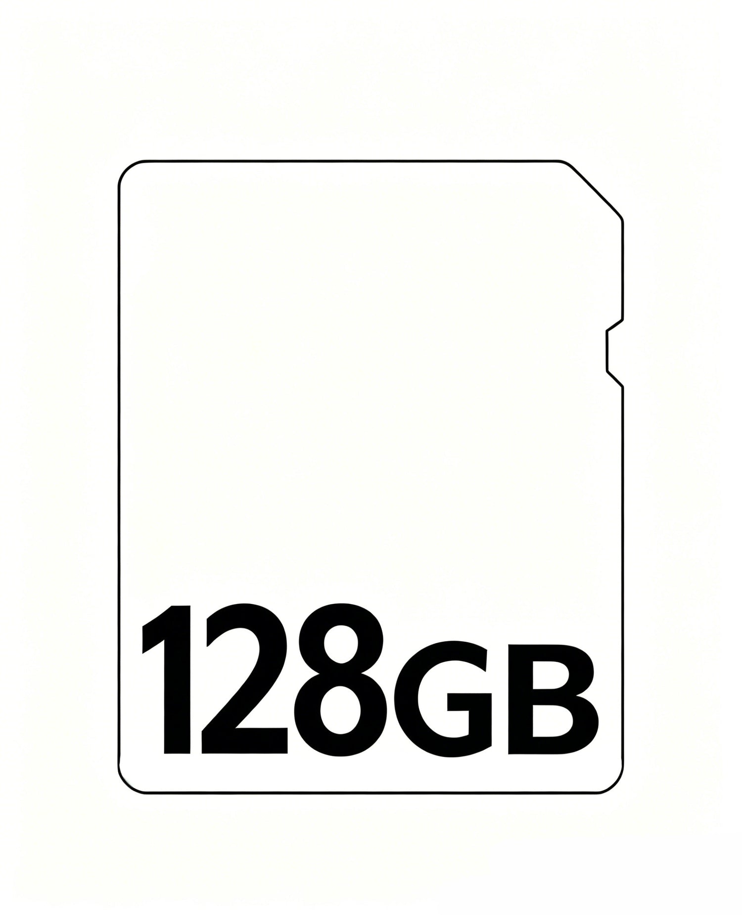 Xega 64G/128G Micro SD-Karte für Überwachungskameras