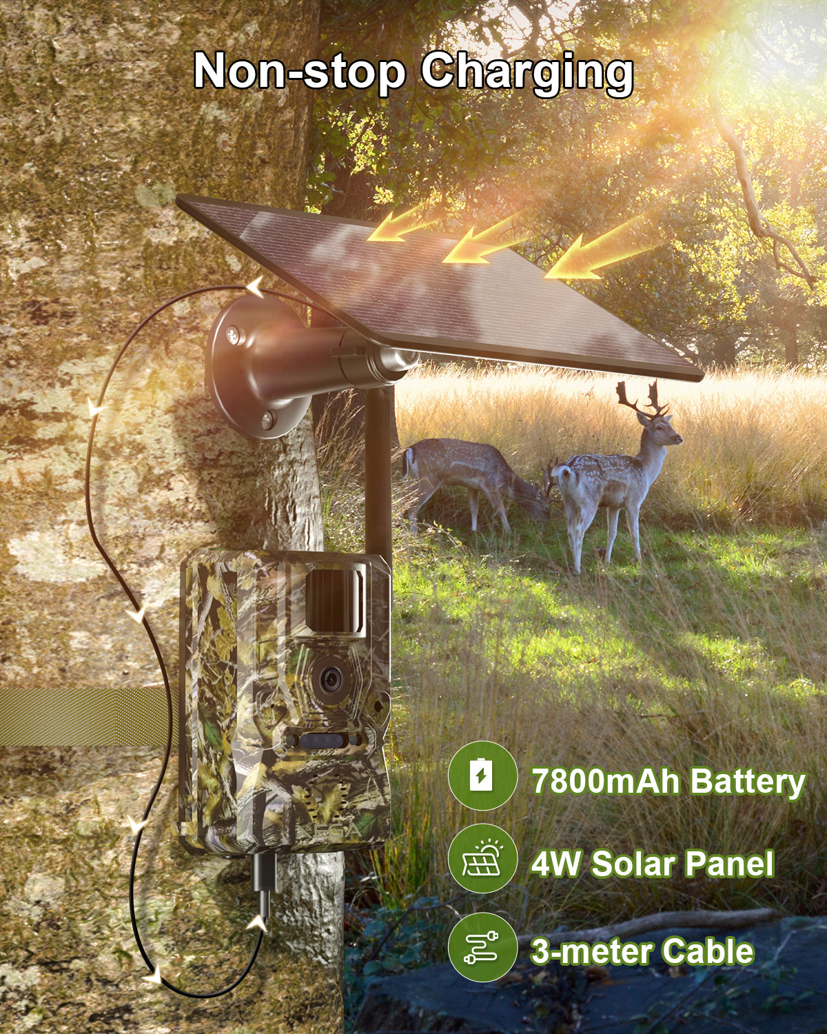 Xega 4G LTE solar trail camera with 7800mAh battery, 4W solar panel, and 3m cable. Forest scene with deer.