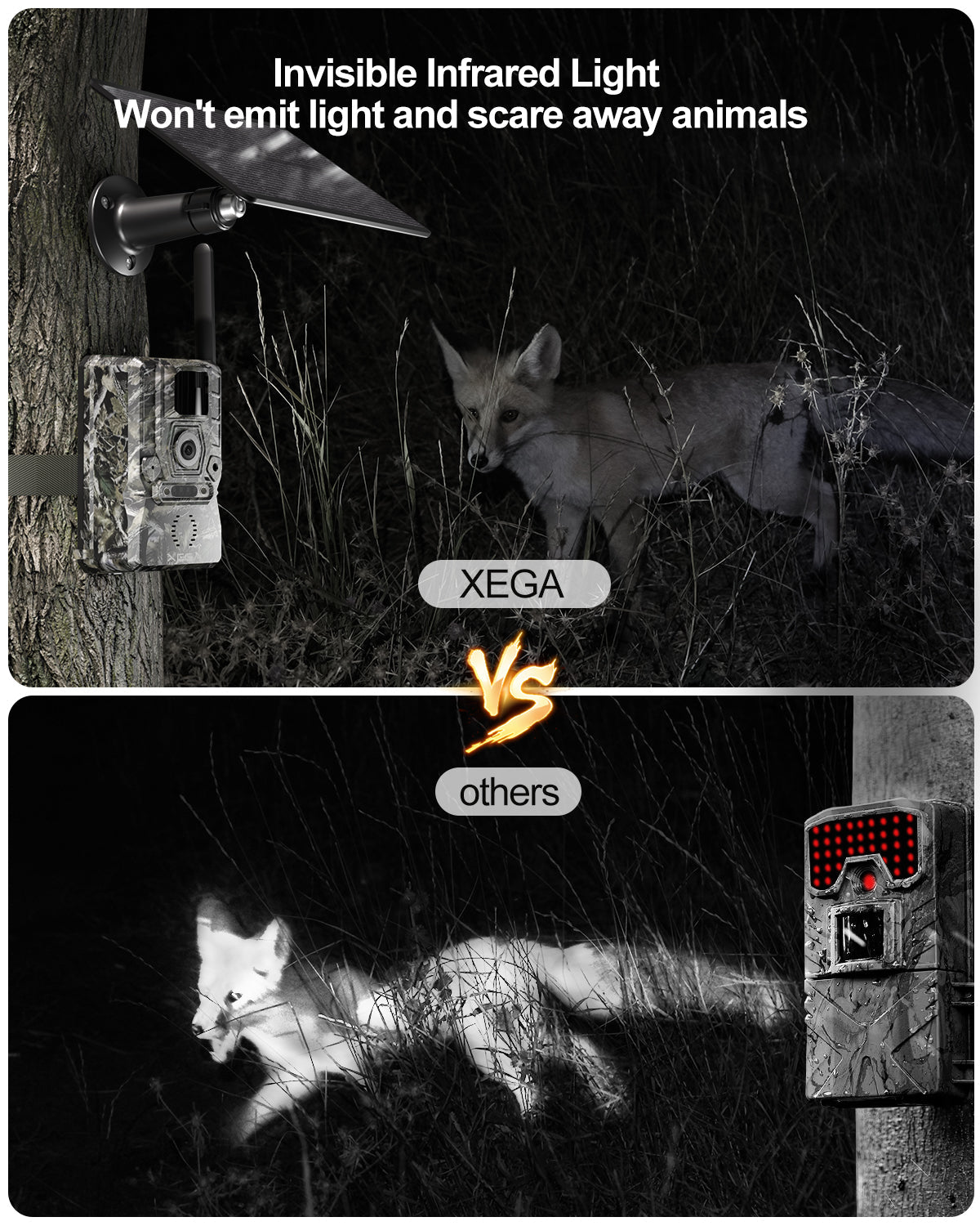 Xega 4G LTE solar trail camera with invisible infrared light capturing a fox at night.