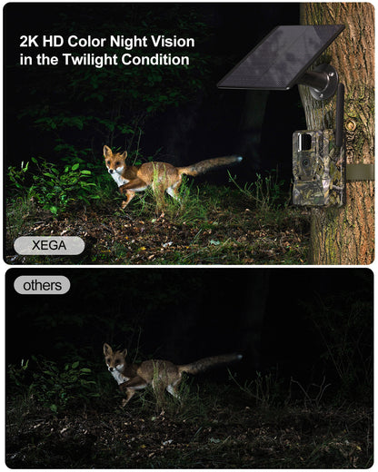Xega 4G LTE solar trail camera captures a fox in 2K HD color night vision, compared to lower quality "others"