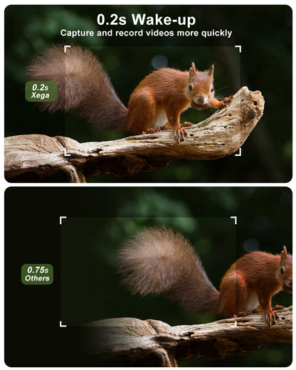Xega 4G LTE solar wildlife camera captures squirrels in 0.2s wake-up time compared to others at 0.75s.