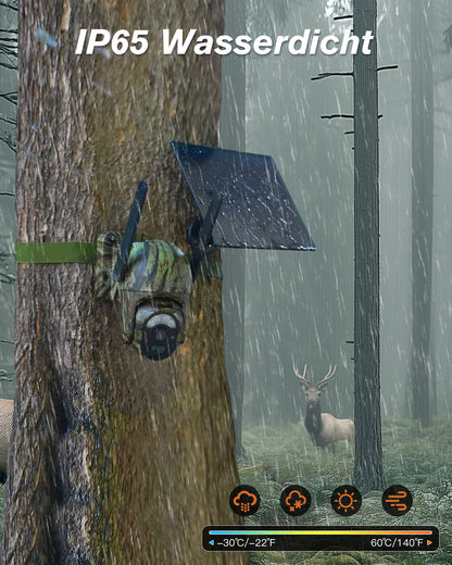 Xega 4G LTE wild camera with solar panel attached to a tree in the rain. Features IP65 waterproof rating.