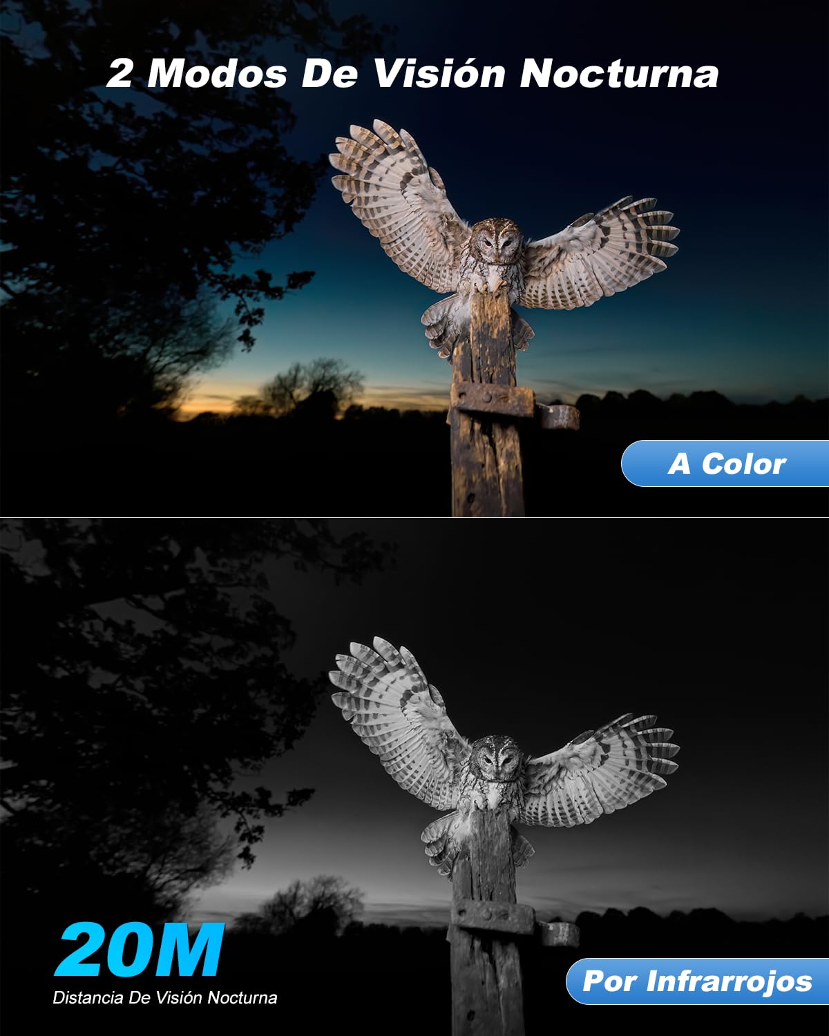 Xega 4G Camara De Caza Solar con Tarjeta SIM, 2K 3MP Exterior Fototrampeo Inalámbrica PTZ con Visión Nocturna Detección Personalizada Proyector/Sirena Alertas en App y Almacenamiento TF/Nube(Sin WiFi)